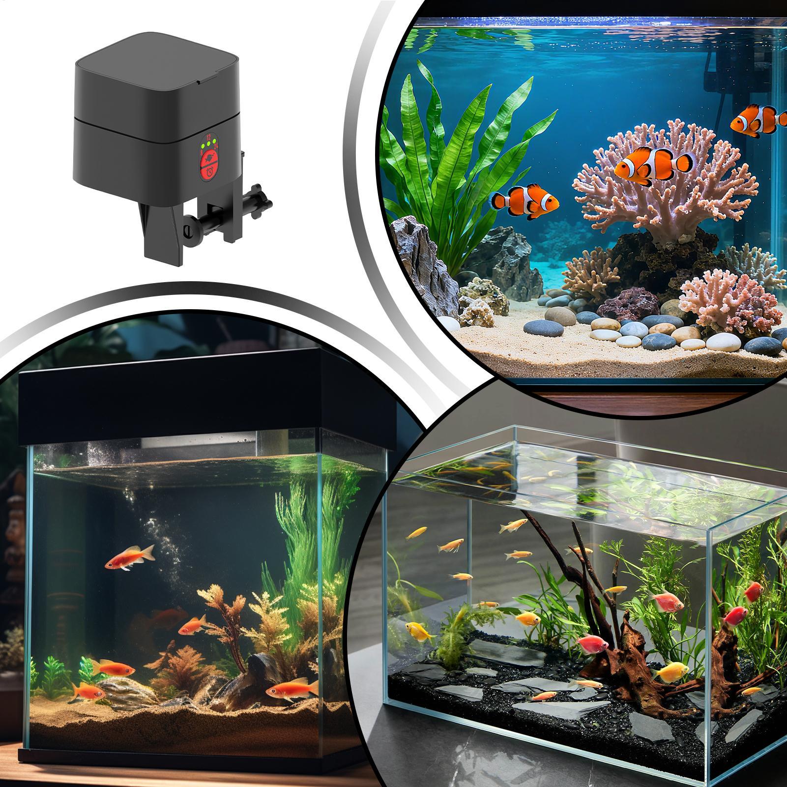 Aquarium Fish Feeder - Automatic Fish Feeders Automatic Rechargeable Small