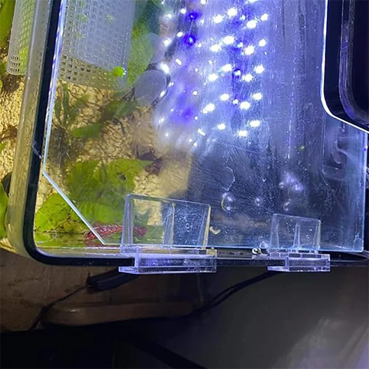 10Pcs Transparent Acrylic Fish - Aquarium Fish Elevator のレビューと価格