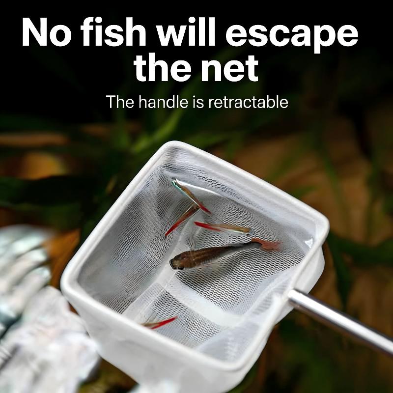 For Catchin Fish Shrimp Tank A - Aquarium Fishland のレビューと価格