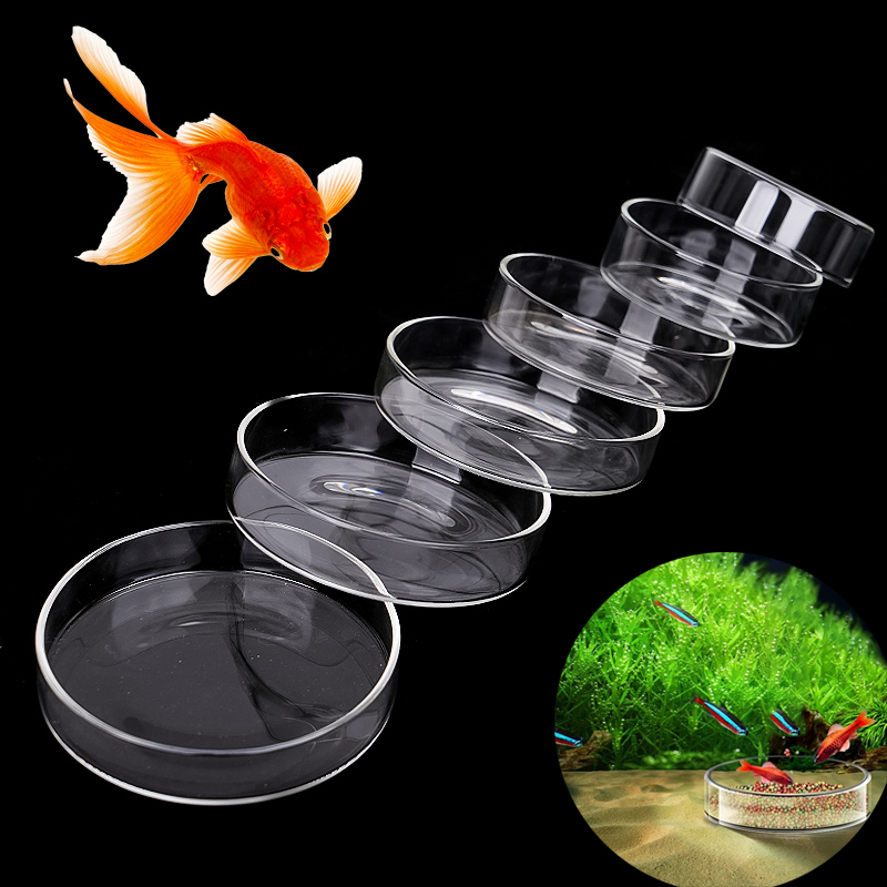 Aquarium Feeding Bowl Fish Tan - Aquarium Fish Vitamin のレビューと価格