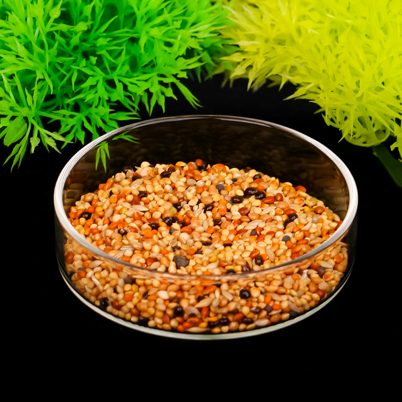 Aquarium Feeding Bowl Fish Tan - Aquarium Fish Vitamin のレビューと価格