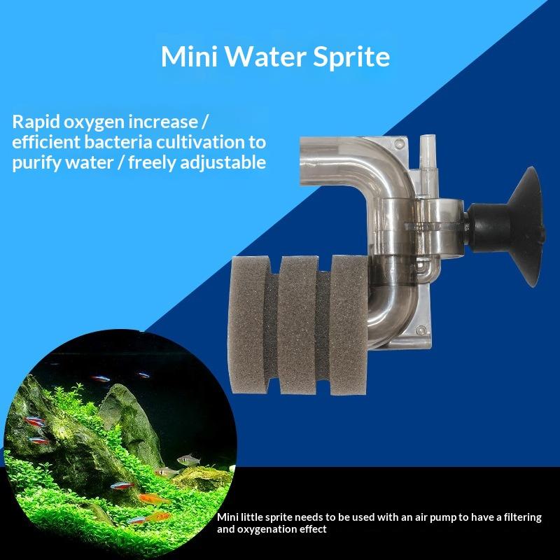 .Hot Sale-Mini Aquarium Sponge - Aquarium Fish For Sale のレビューと価格