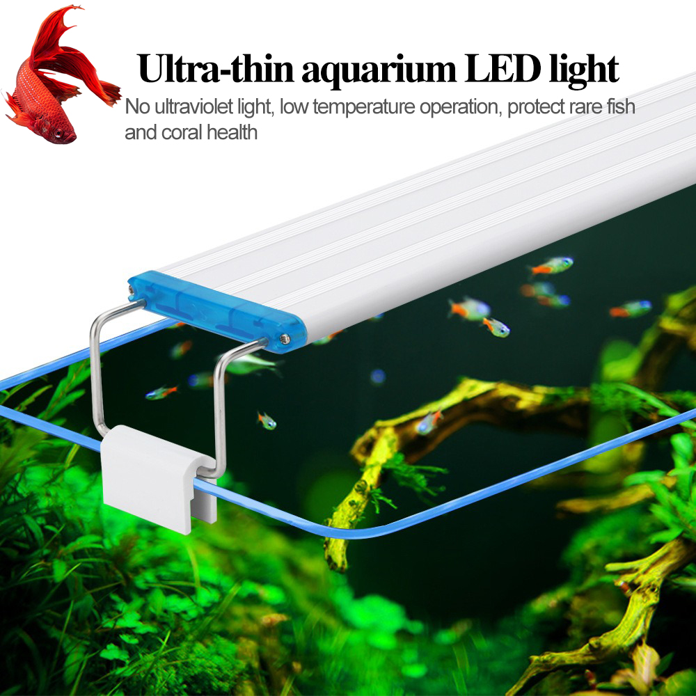 Ultra-thin Aquarium Light Blue - Aquarium Fish Elevator のレビューと価格