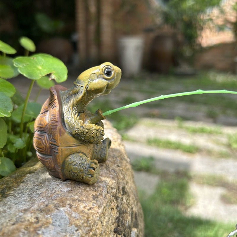 Turtle fishing fish tank aquar - Aquarium Fish Pond のレビューと価格