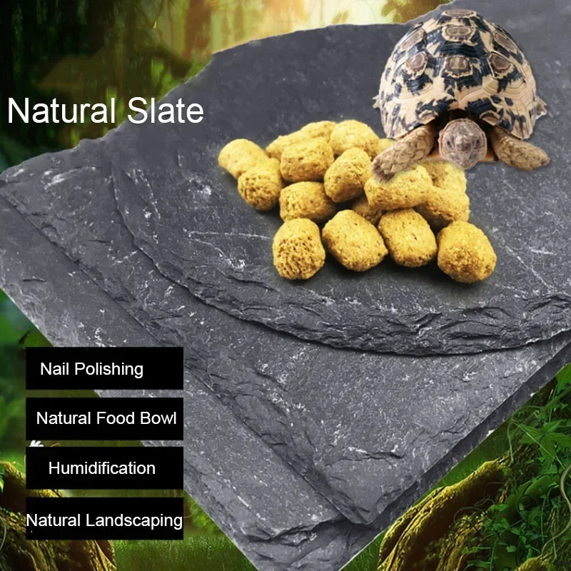 Natural Slate Aquarium Pet Rep - Aquarium Fish Feeder のレビューと価格