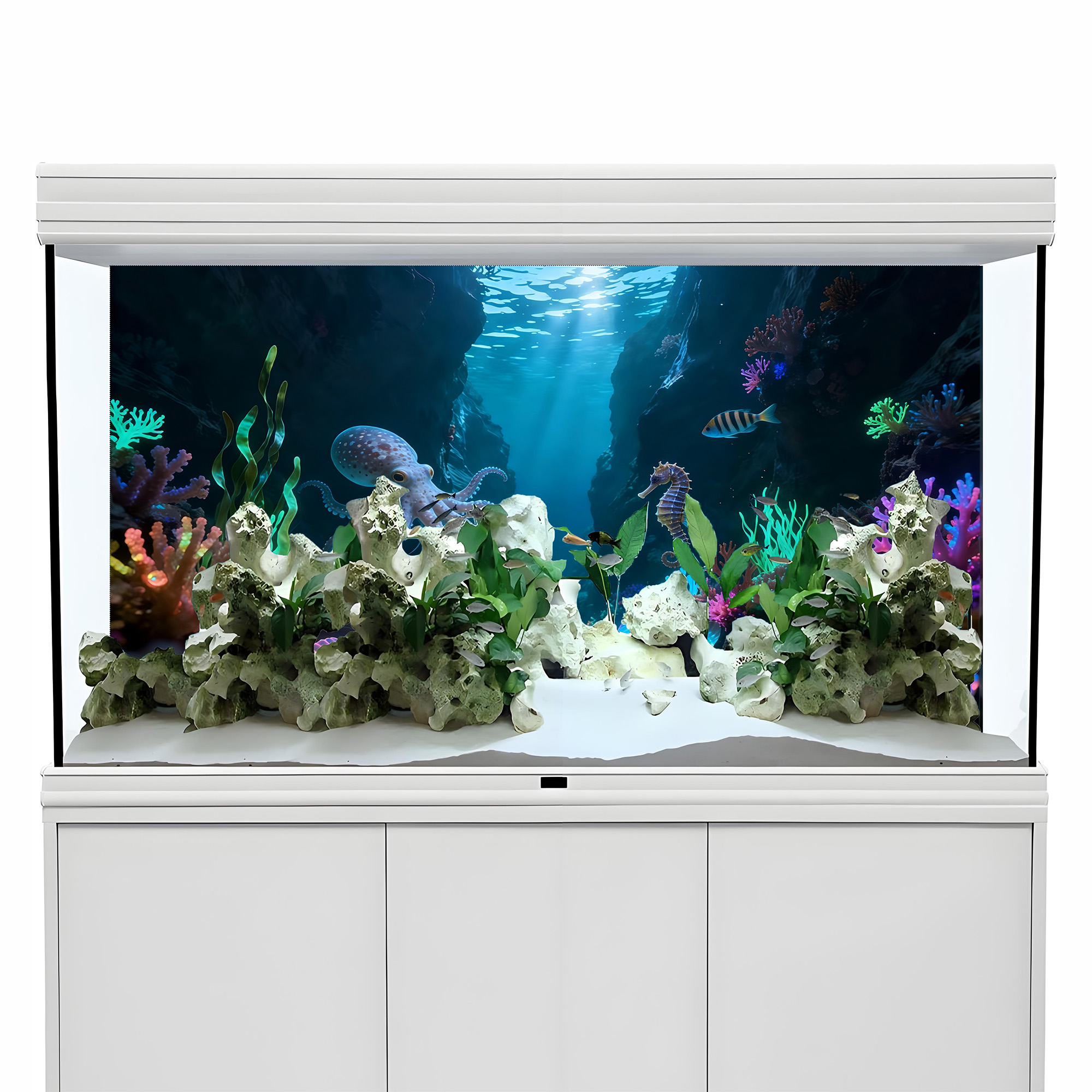 Octopus Canyon Paradise, Fish  - Aquarium Fish Paradise のレビューと価格