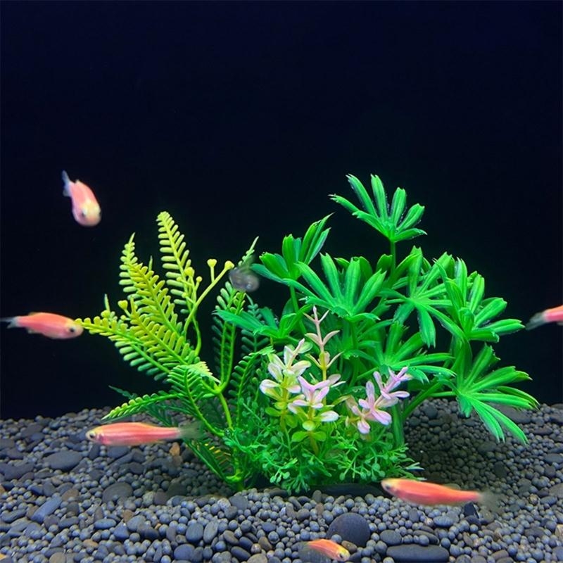Artificial Aquarium Decoration - Aquarium Fish For Sale のレビューと価格