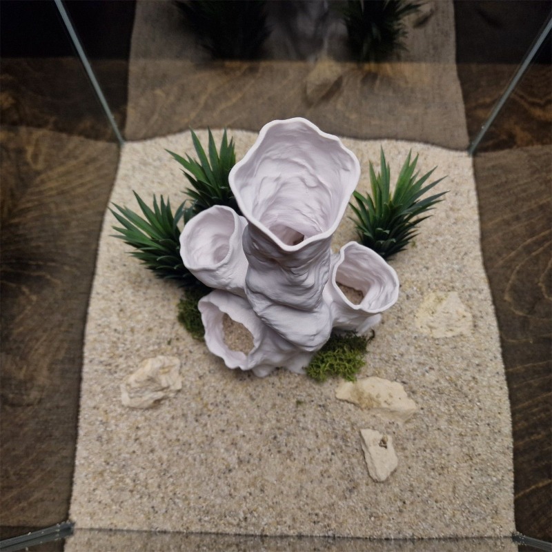 Hot Sale 3D Printed Coral Tunn - Aquarium Fish For Sale のレビューと価格