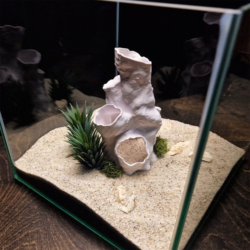 Hot Sale 3D Printed Coral Tunn - Aquarium Fish For Sale のレビューと価格