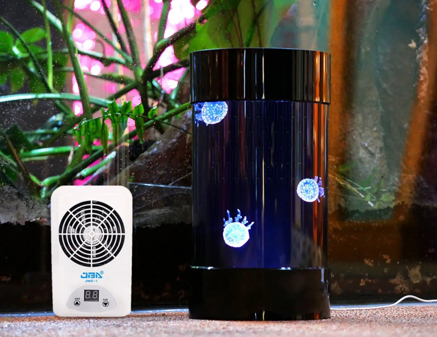 Best Amazon Sales Jellyfish Ta - Aquarium Fish In Amazon のレビューと価格