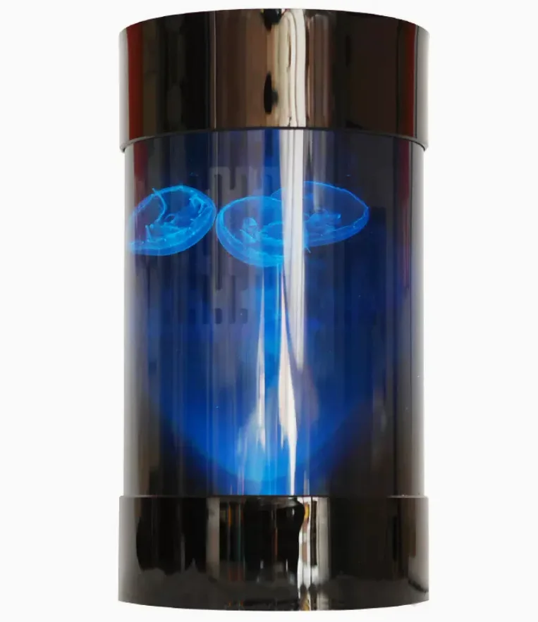 Best Amazon Sales Jellyfish Ta - Aquarium Fish In Amazon のレビューと価格