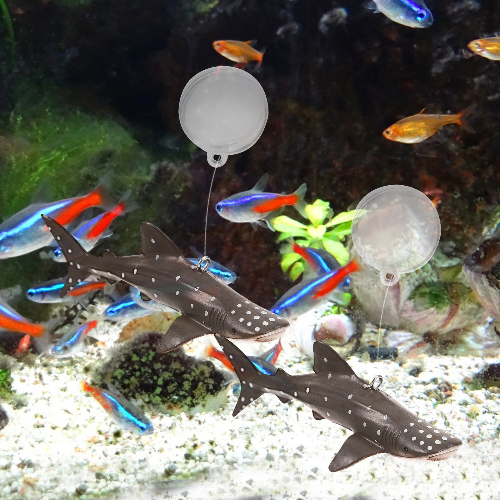 2Sets Whale Shark Floating Aqu - Aquarium Fish Shark のレビューと価格