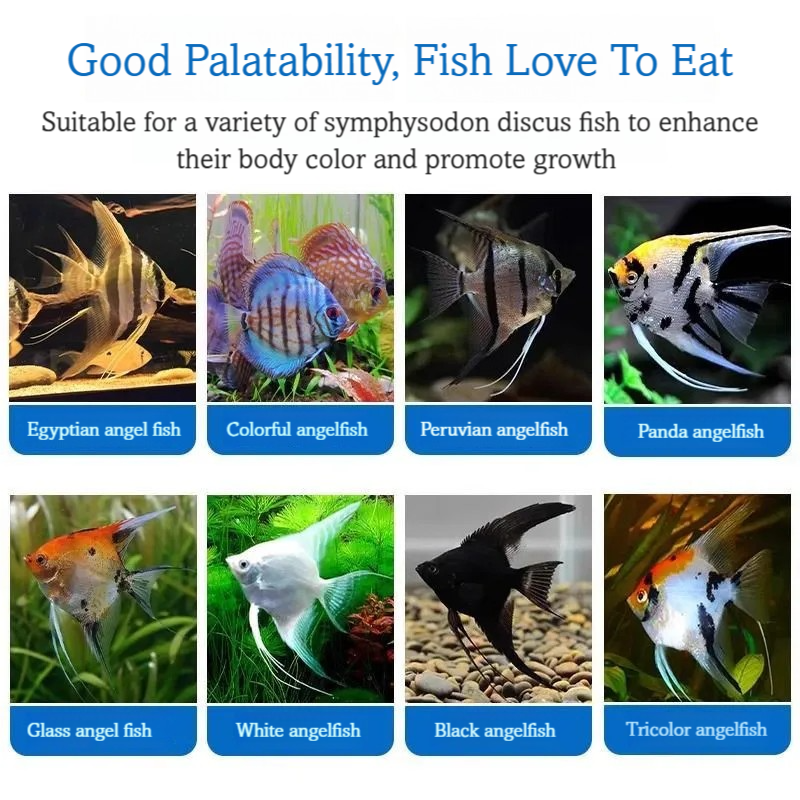 Discus Fish Food Symphysodon D - Aquarium Fish Vitamin のレビューと価格