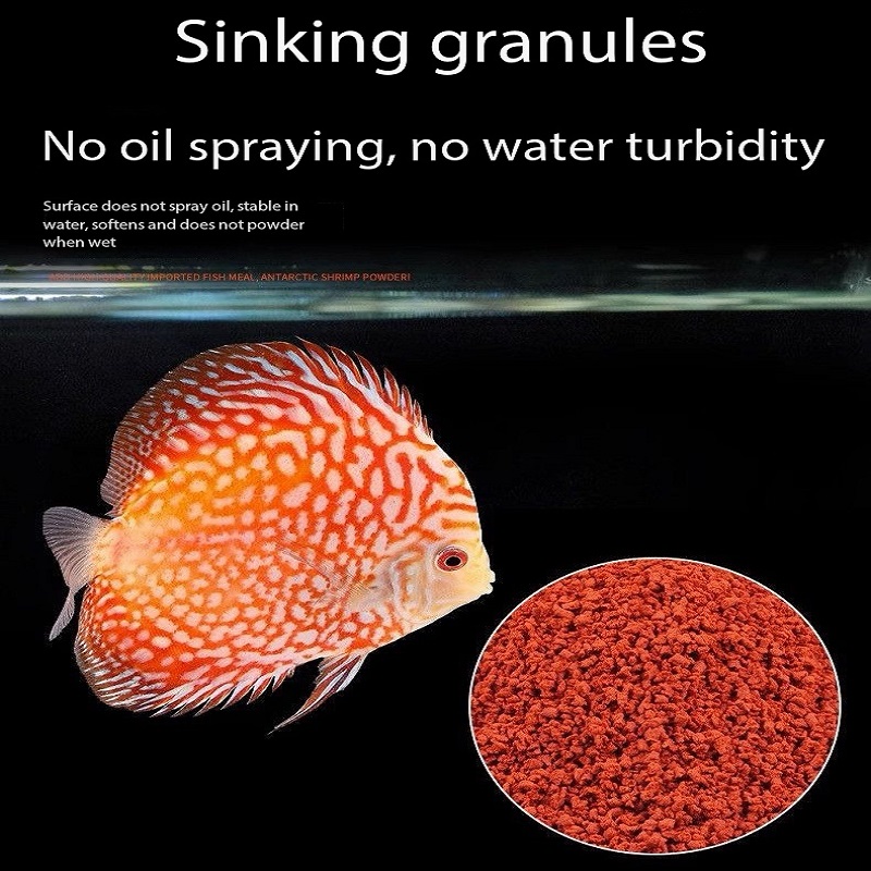 Discus Fish Food Symphysodon D - Aquarium Fish Vitamin のレビューと価格