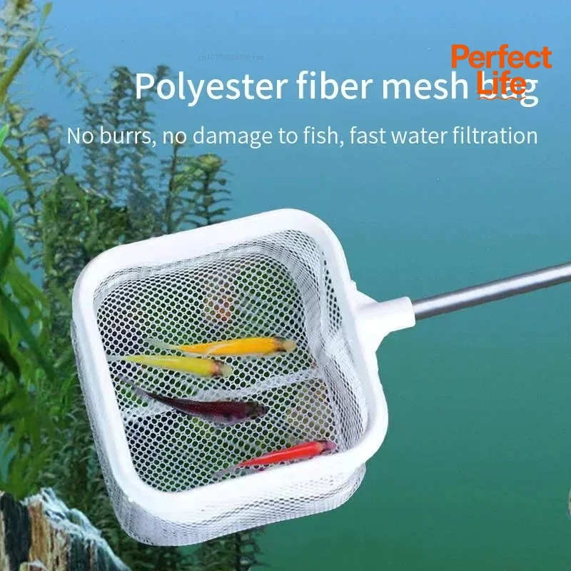 1、2Pcs Stainless Steel Fishing - Aquarium Fishland のレビューと価格