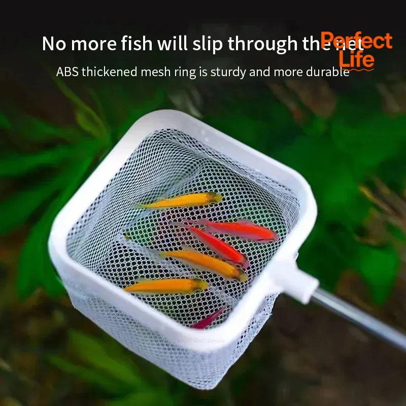 1、2Pcs Stainless Steel Fishing - Aquarium Fishland のレビューと価格