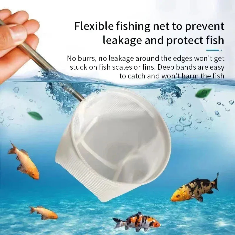 1、2Pcs Stainless Steel Fishing - Aquarium Fishland のレビューと価格