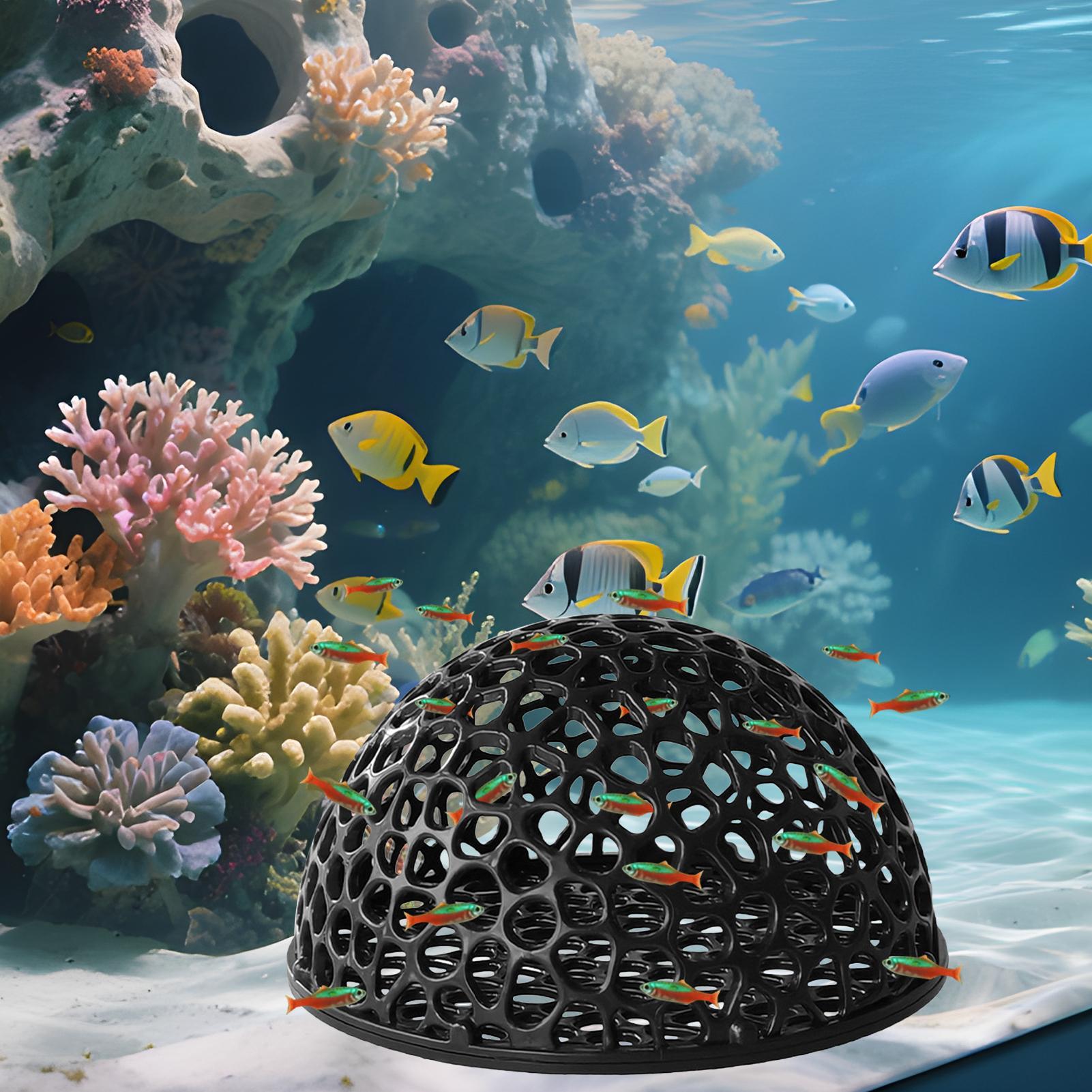 Aquarium Hiden Cave Shelter fo - Aquarium Fish Hide のレビューと価格