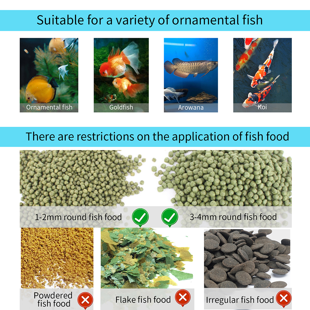 100ML Large Capacity Fish Feed - Aquarium Fish Feeder のレビューと価格