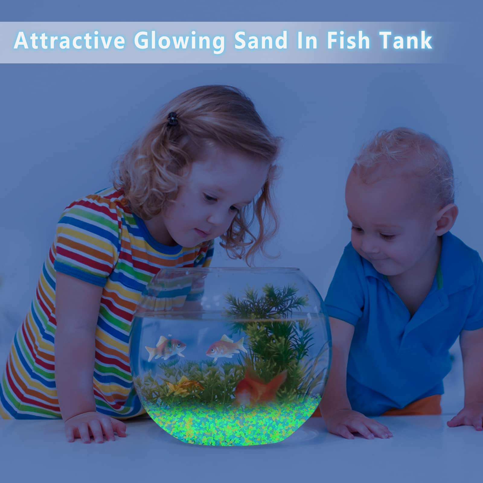 1000Pcs Luminous Sand Glow In  - Aquarium Fish Saltwater のレビューと価格