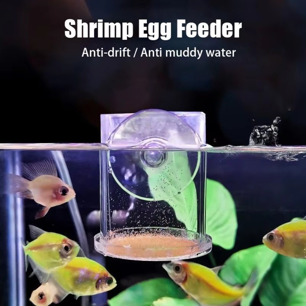 Acrylic Brine Shrimp Feeder Fi - Aquarium Fish Vitamin のレビューと価格