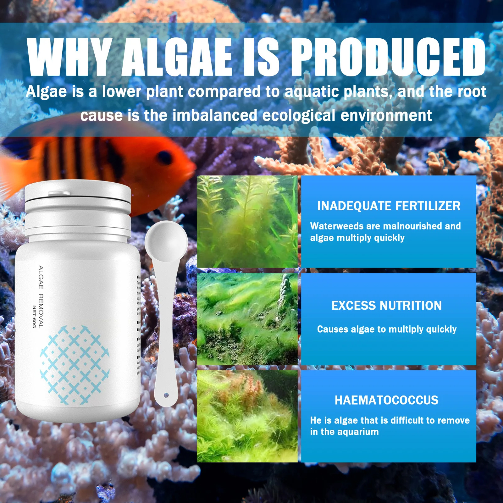 Algae Control Tablets for Aqua - Aquarium Fish Vitamin のレビューと価格