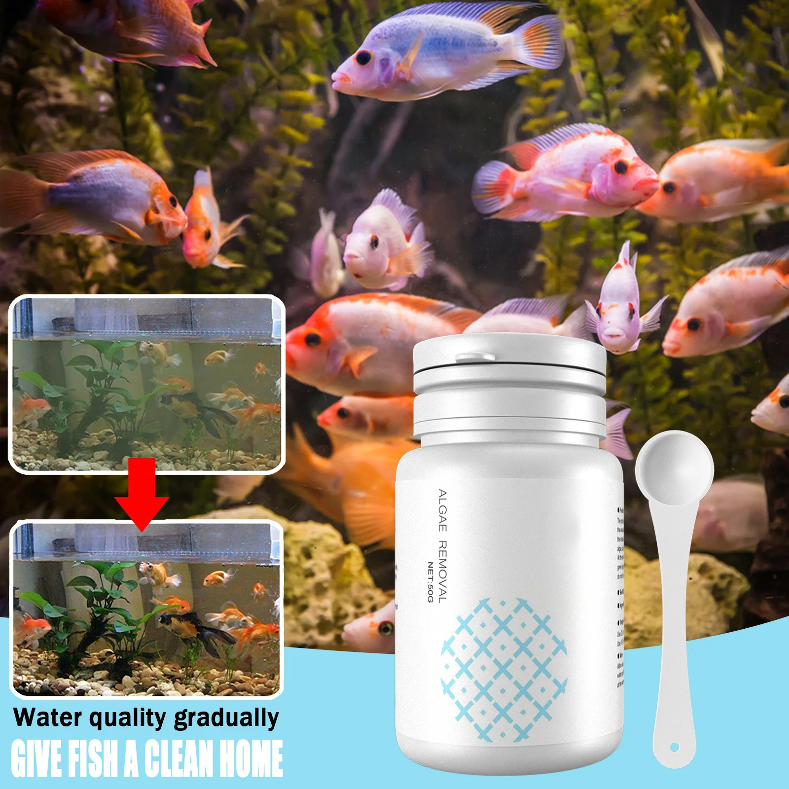 Algae Control Tablets for Aqua - Aquarium Fish Vitamin のレビューと価格