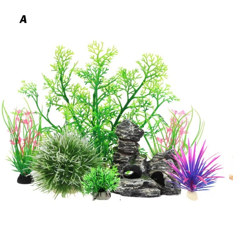 10pcs Hot Selling New Arrival  - Aquarium Fish For Sale のレビューと価格