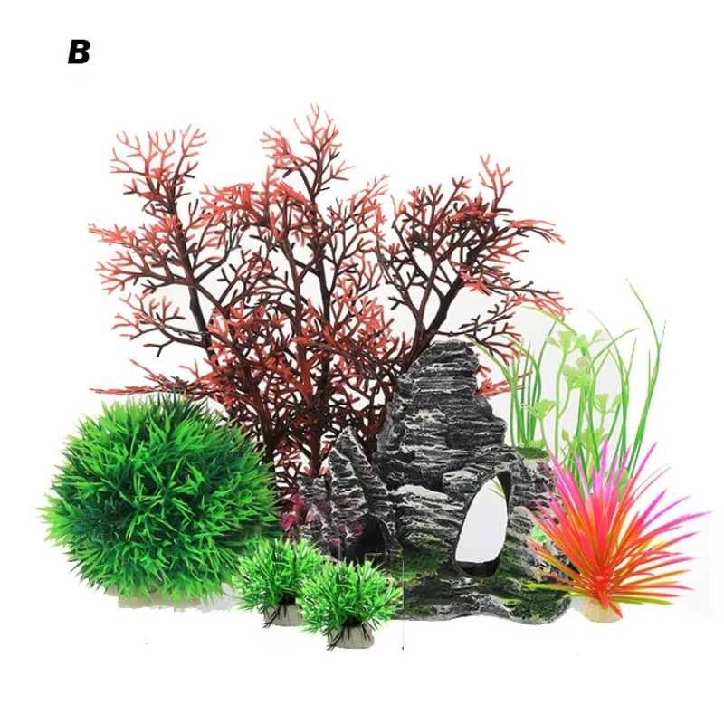 10pcs Hot Selling New Arrival  - Aquarium Fish For Sale のレビューと価格