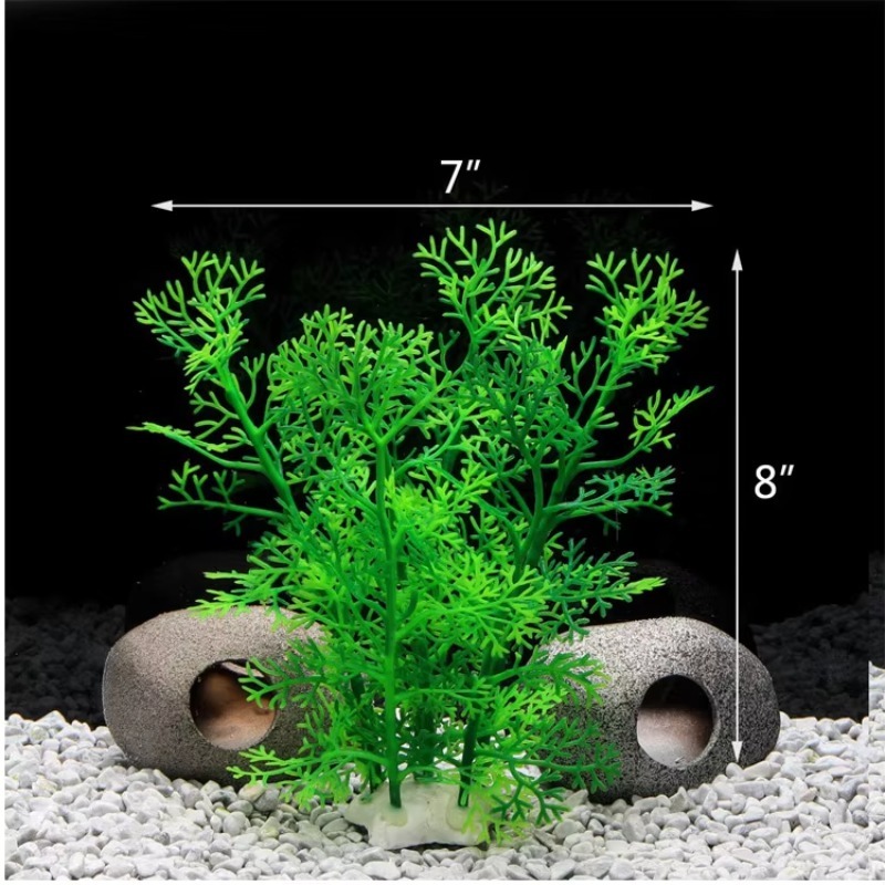 10pcs Hot Selling New Arrival  - Aquarium Fish For Sale のレビューと価格