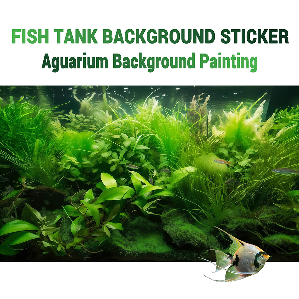 Water Grass Paradise，fish tank - Aquarium Fish Paradise のレビューと価格
