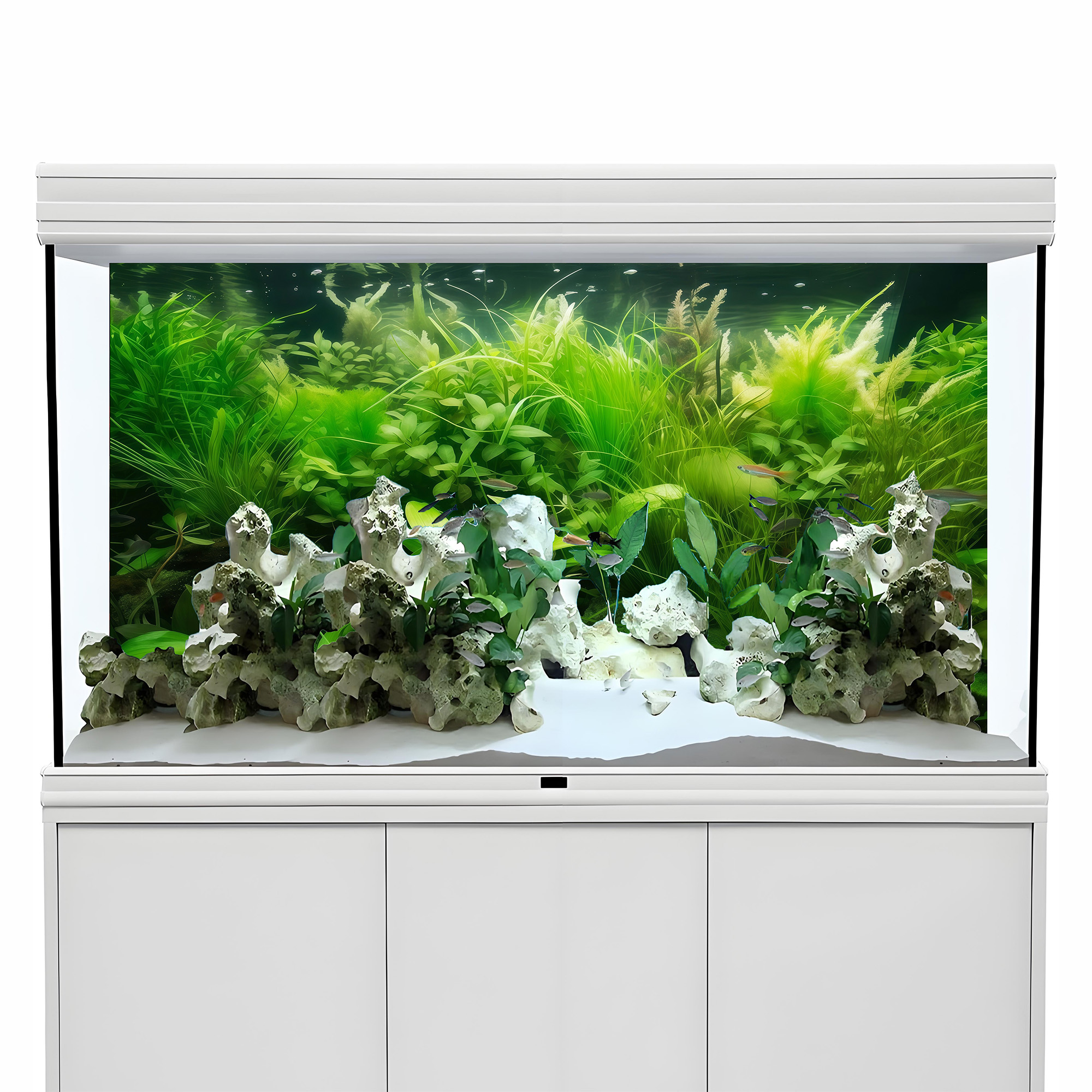 Water Grass Paradise，fish tank - Aquarium Fish Paradise のレビューと価格