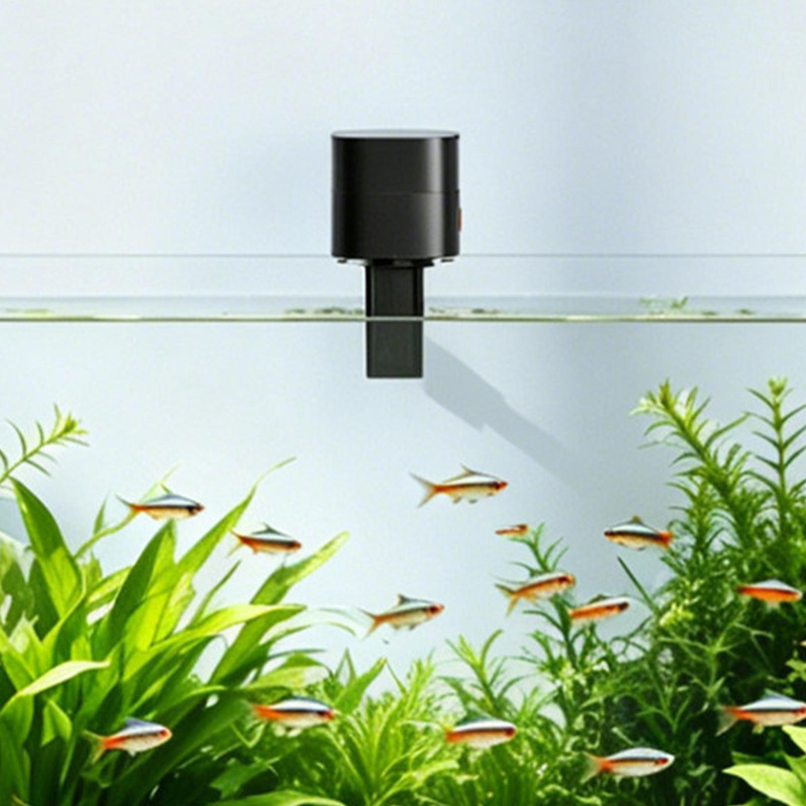 Automatic Fish Feeders Automat - Aquarium Fish Feeder のレビューと価格