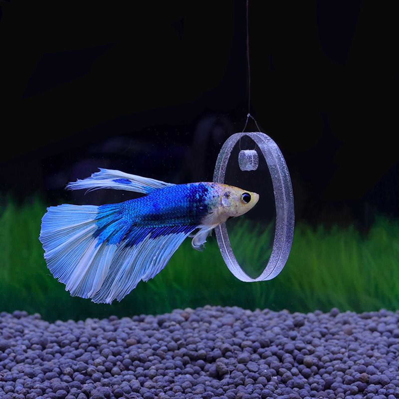 2Pcs Floating Feeding Ring Wit - Aquarium Fish Feeder のレビューと価格