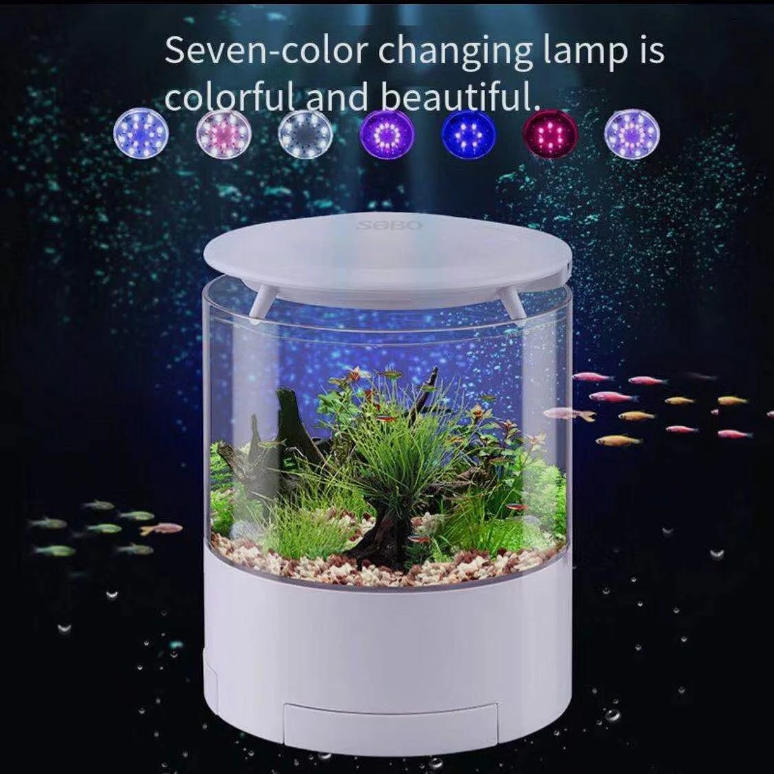 Round colorful lights desktop  - Aquarium Fish For Sale のレビューと価格