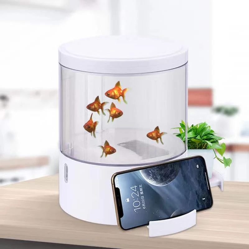Round colorful lights desktop  - Aquarium Fish For Sale のレビューと価格