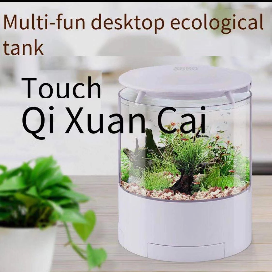 Round colorful lights desktop  - Aquarium Fish For Sale のレビューと価格