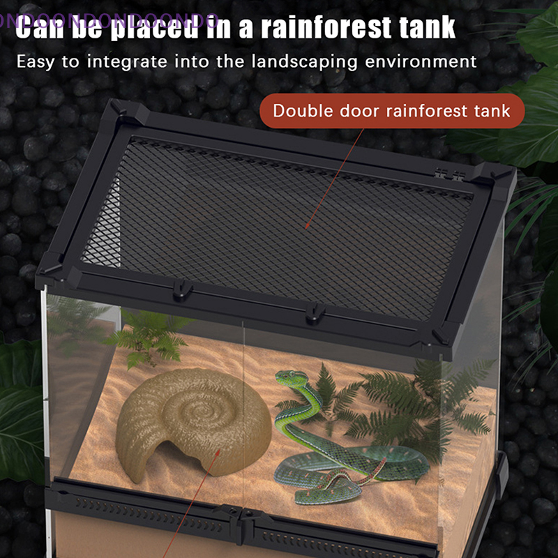 Lizard's Paradise: Reptile She - Aquarium Fish Paradise のレビューと価格