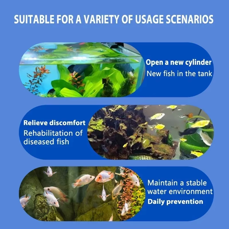 SIKEZHAN Fish Disease Treatmen - Aquarium Fish Saltwater のレビューと価格