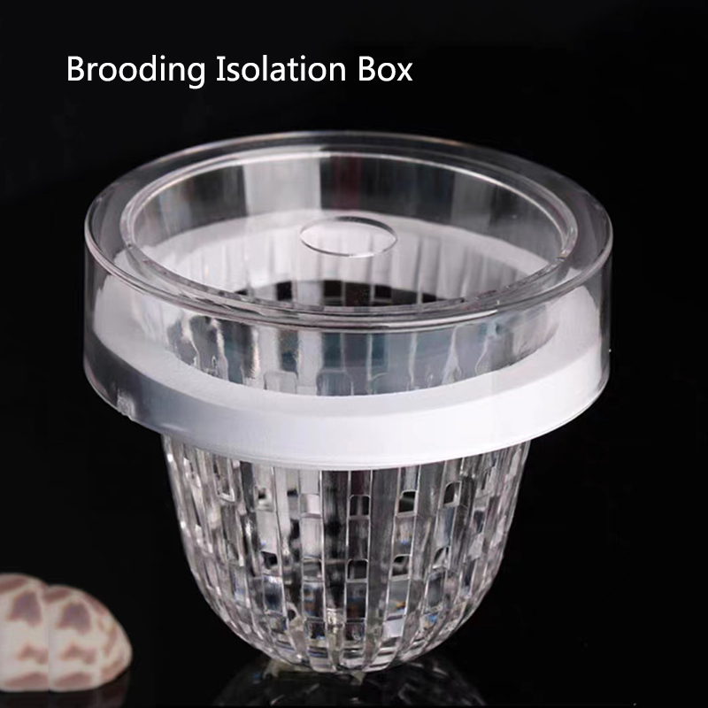 Acrylic Floating Fish Breeding - Aquarium Fish Feeder のレビューと価格