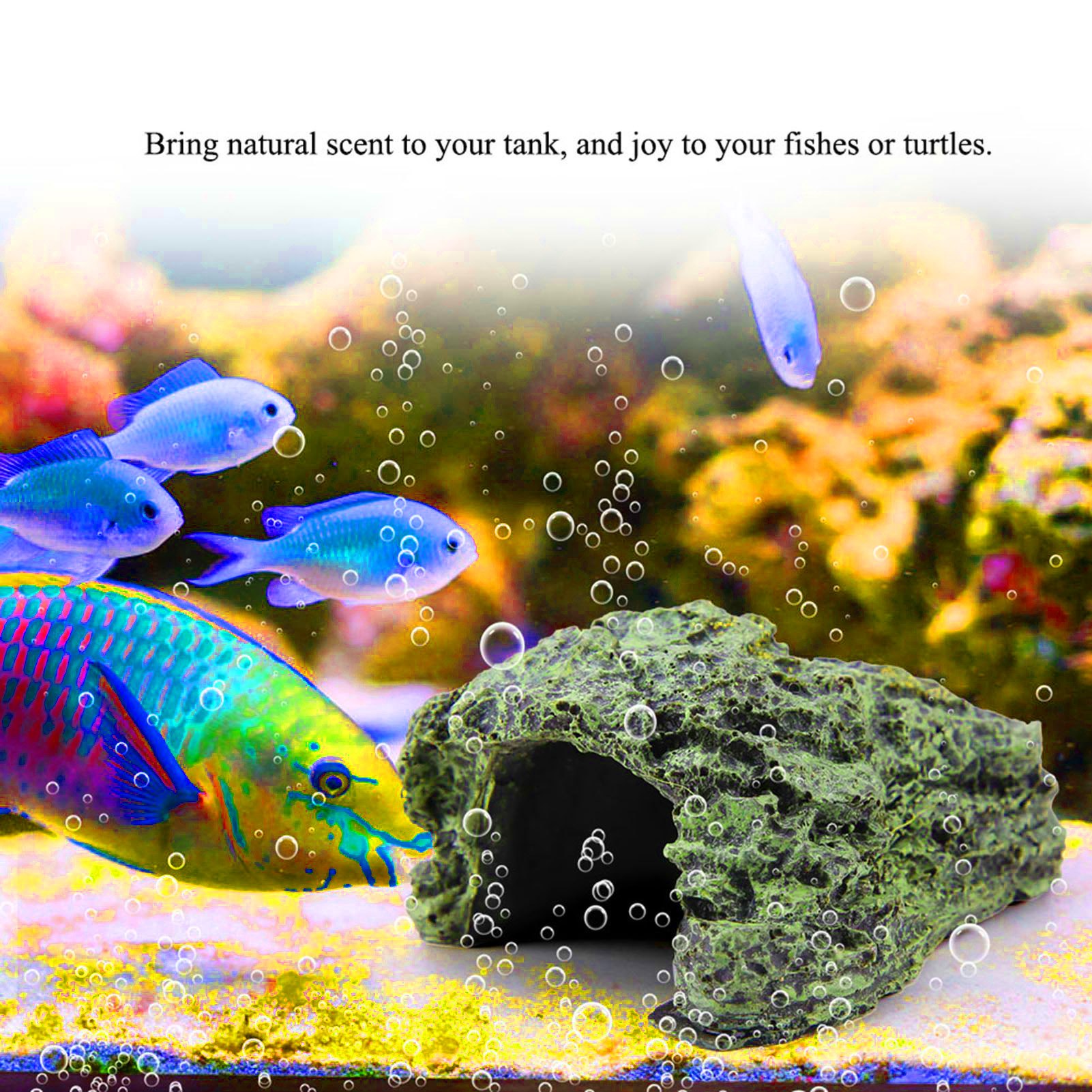 Reptile Hide Cave Turtle Baski - Aquarium Fish Hide のレビューと価格