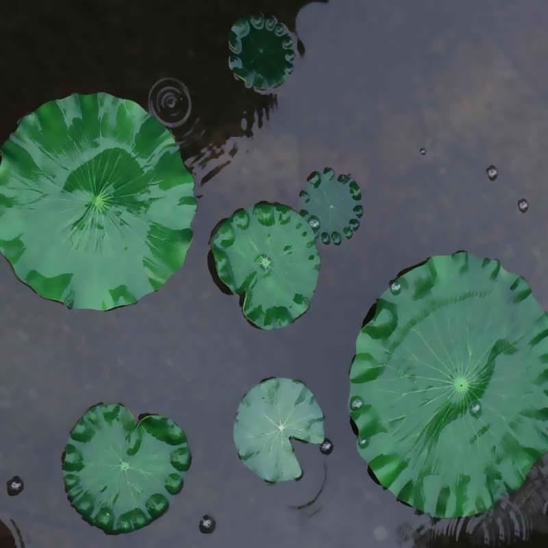 2026 Artificial Water Lily Lot - Aquarium Fish Pond のレビューと価格