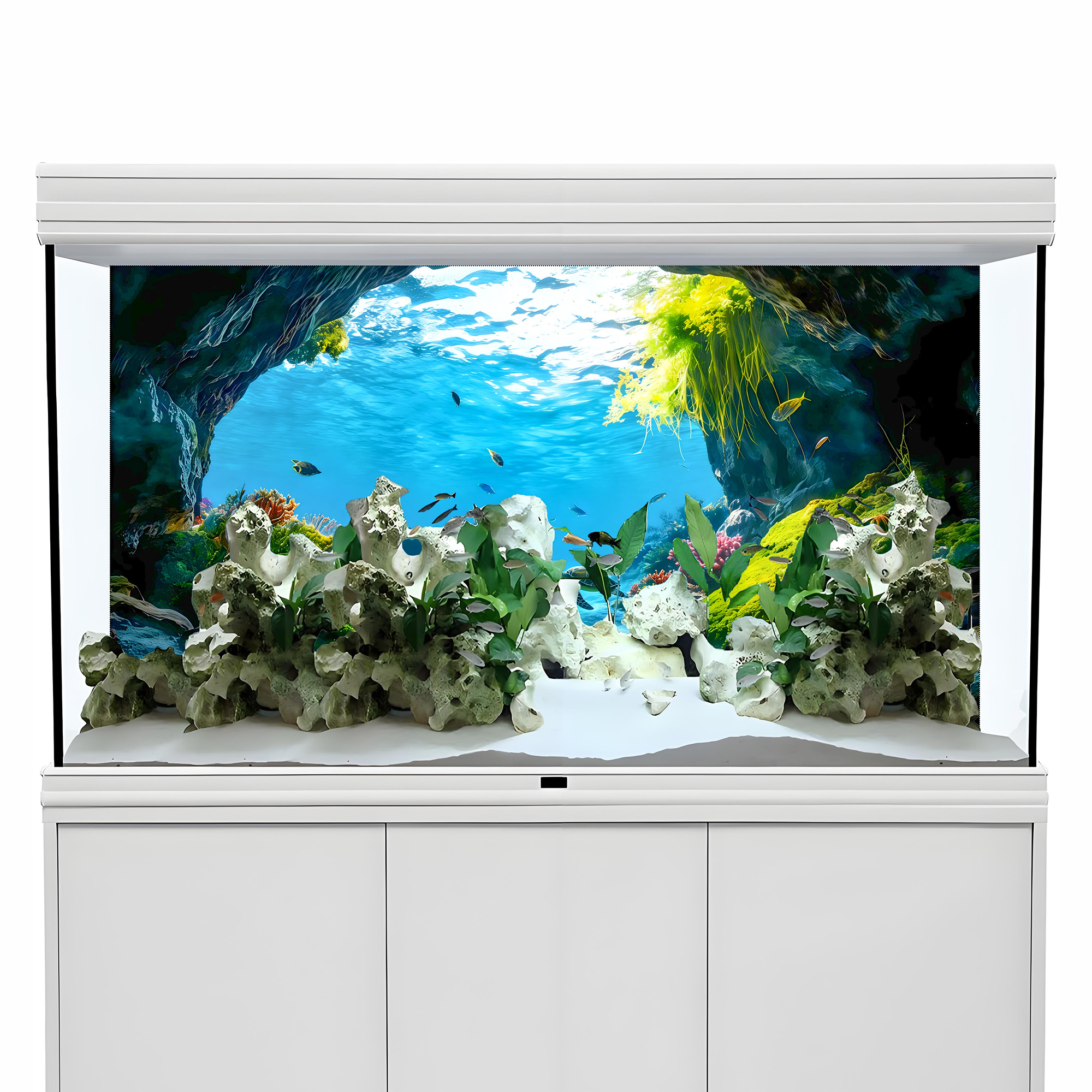 Turtle Cave Paradise, Fish Tan - Aquarium Fish Paradise のレビューと価格