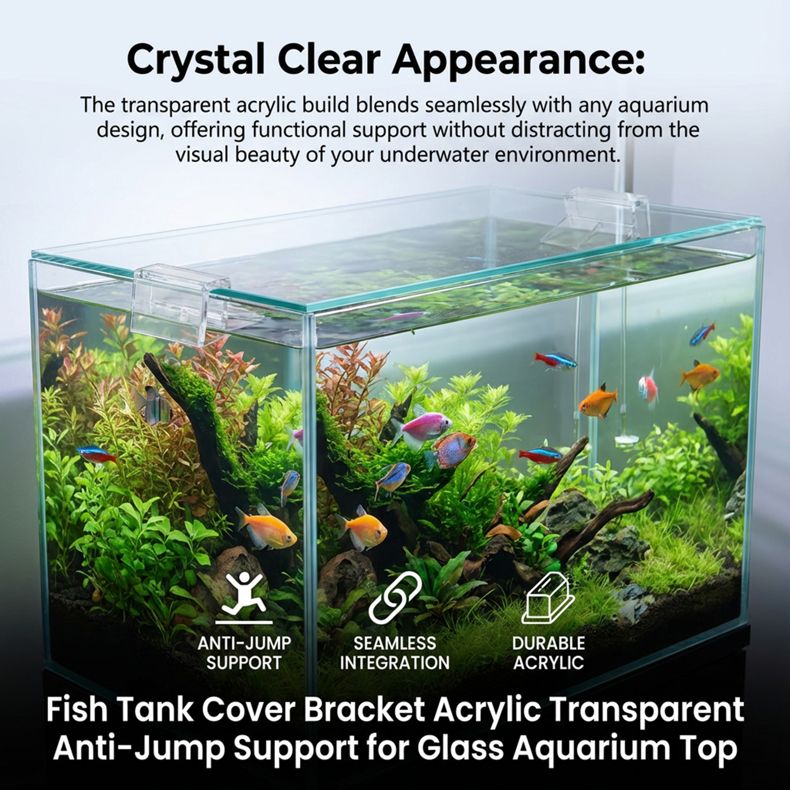 10PCS Aquarium Acrylic Clips G - Aquarium Fish Elevator のレビューと価格
