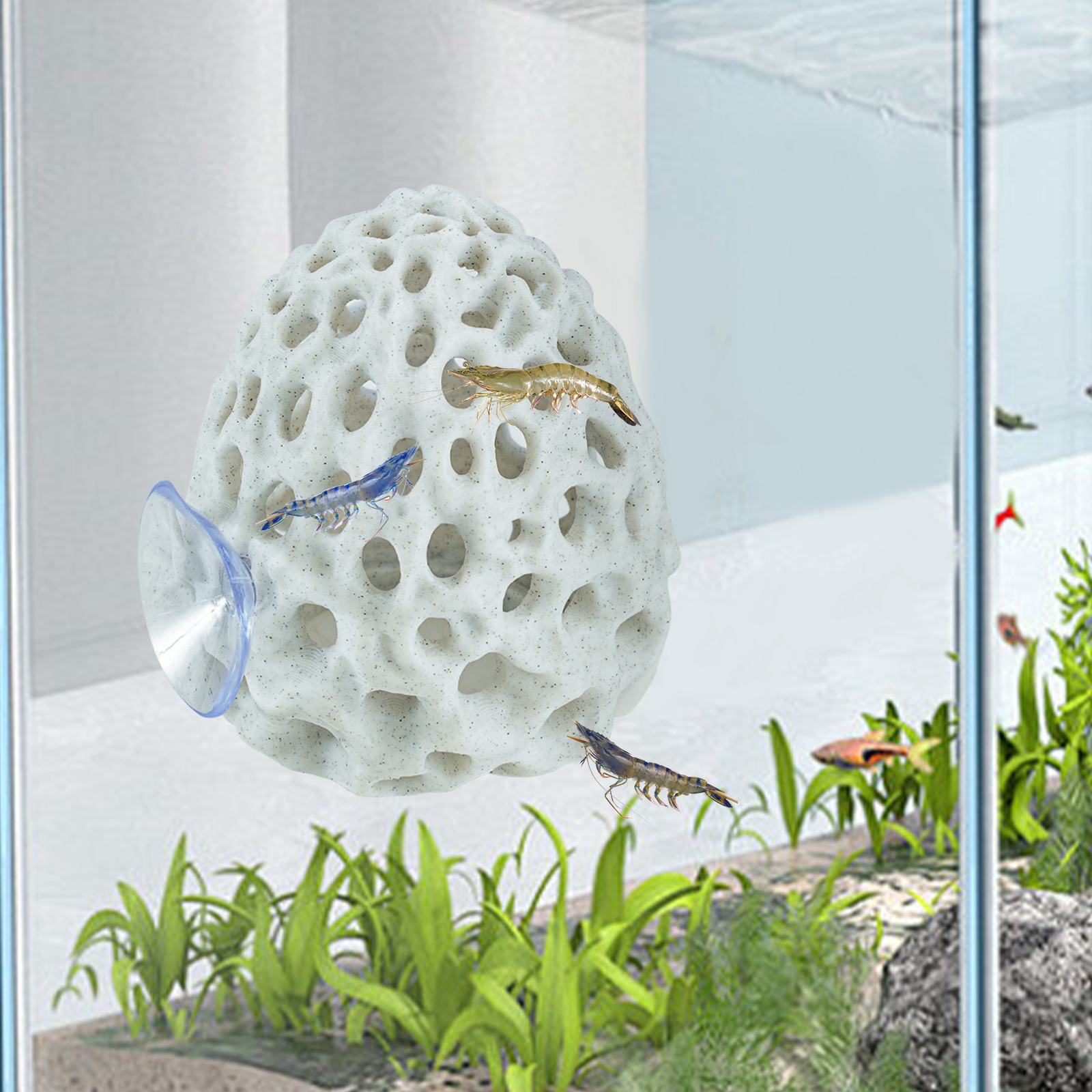 Shrimp Hides for Aquarium, Bet - Aquarium Fish Hide のレビューと価格