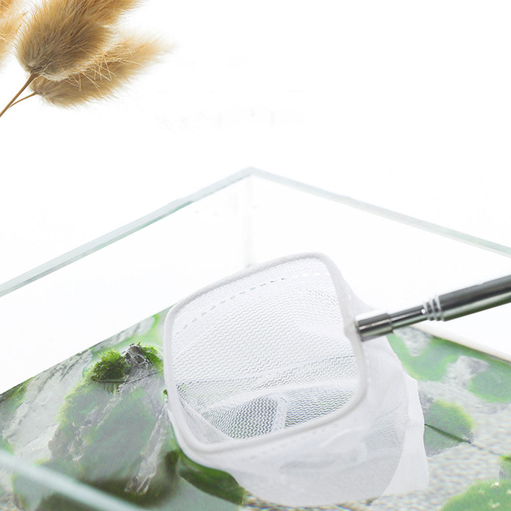Retractable Fish Landing Net T - Aquarium Fishland のレビューと価格