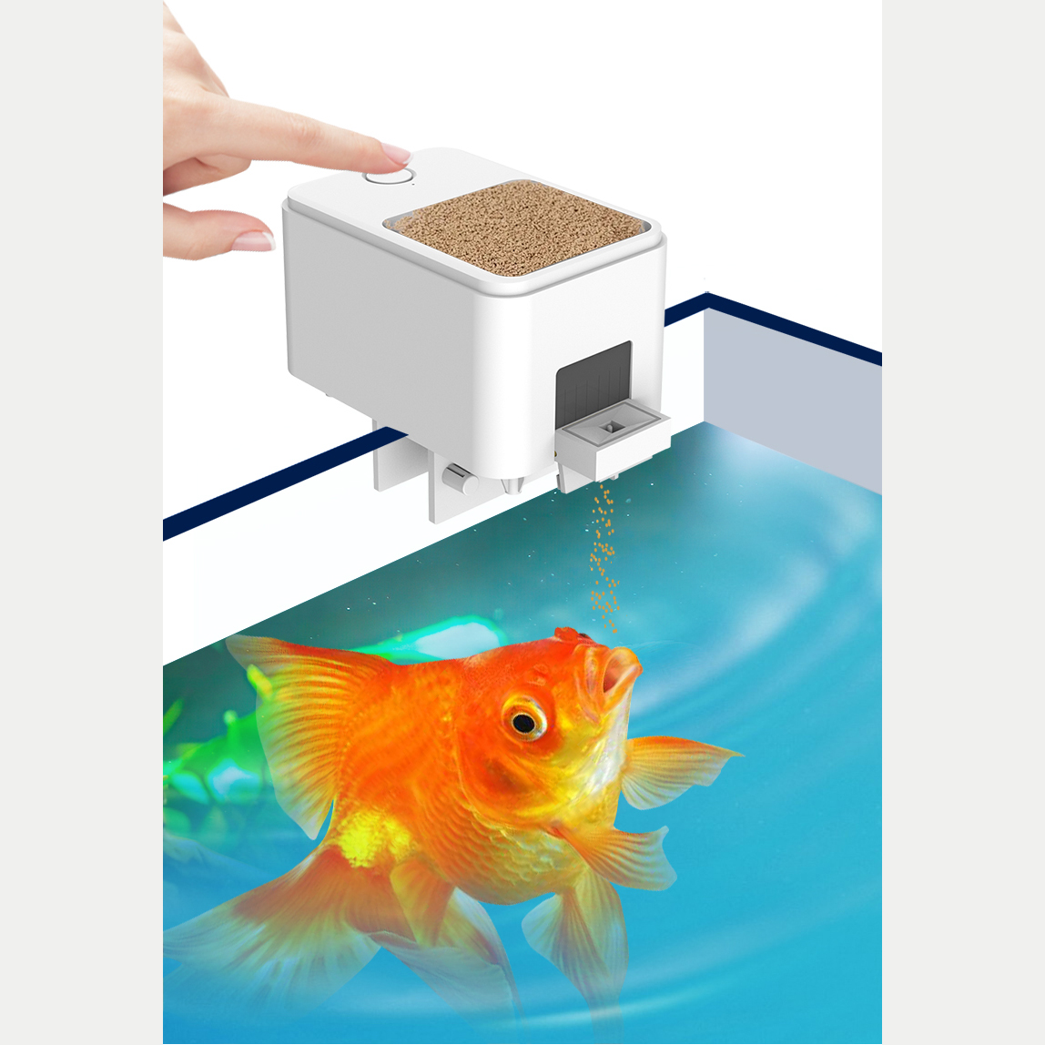 1PC WIFI/Button Version automa - Aquarium Fish Feeder のレビューと価格