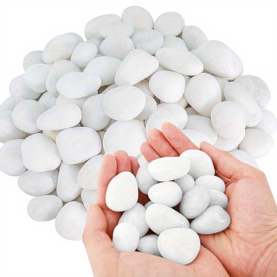 200/400g White High Polished N - Aquarium Fish Saltwater のレビューと価格