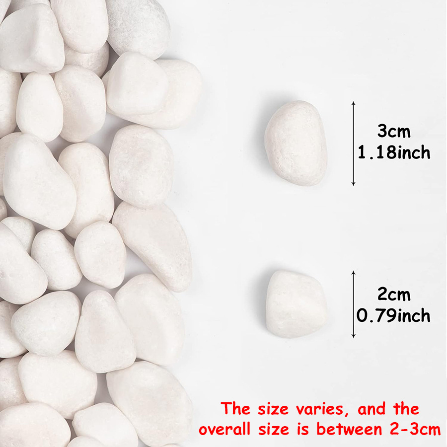 200/400g White High Polished N - Aquarium Fish Saltwater のレビューと価格