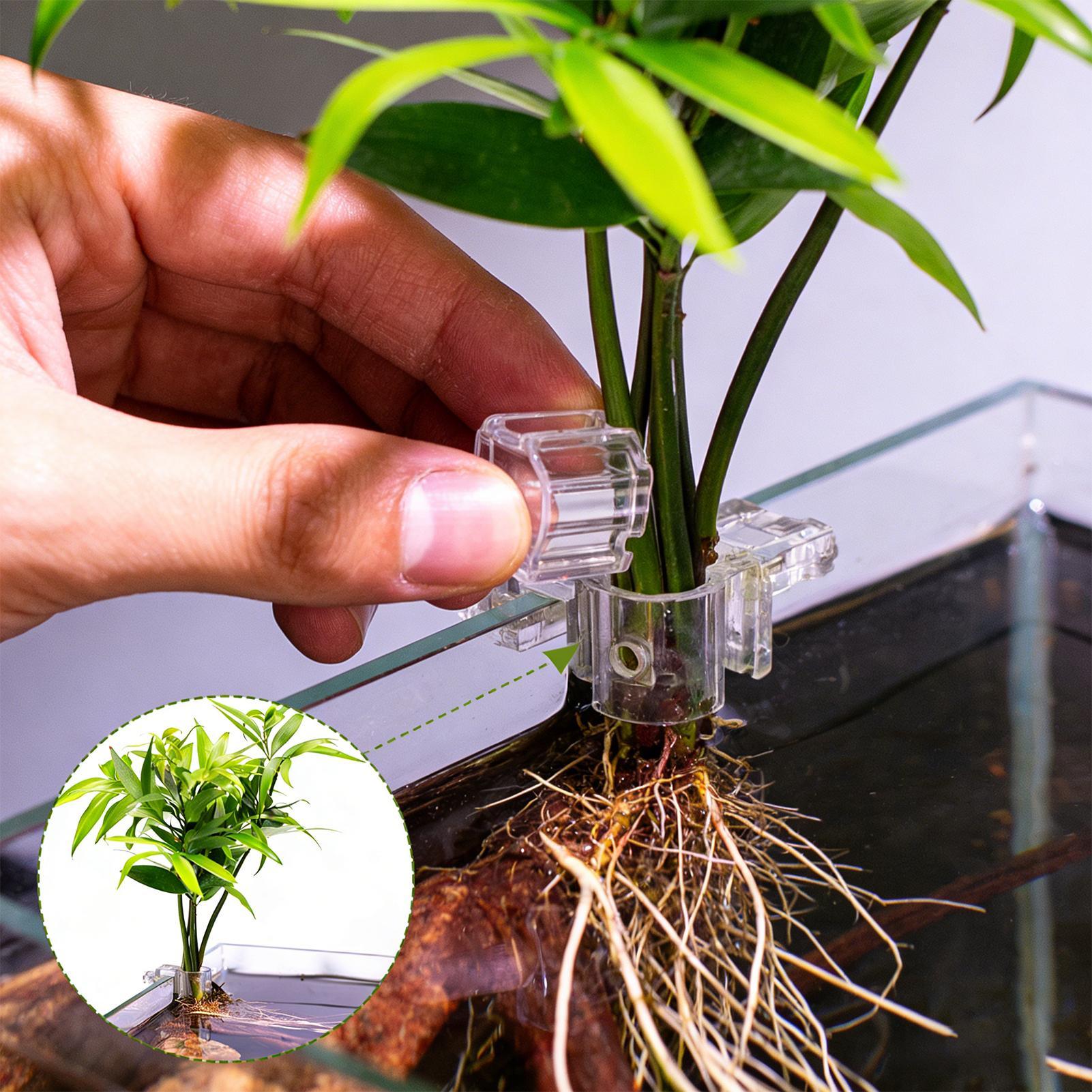 Mini Fish Tank Planter Pot 6Pc - Aquarium Fish Elevator のレビューと価格